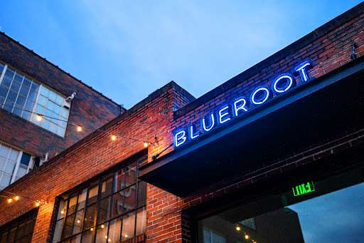 BLUEROOT - Visual