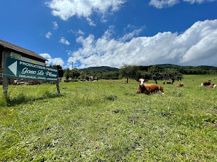 Photo n°10 de Fromagerie Gaec Le Plane - Fromages Artisanal de Haute-Savoie à Saint-André-de-Boëge (Épicerie fine)
