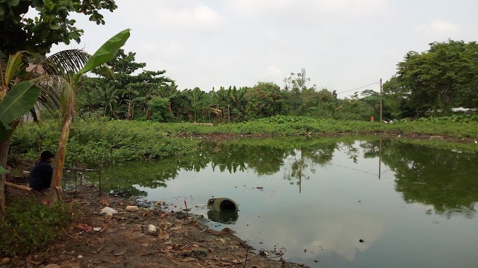 Balong Kampung Bulak, Serua Ciputat, Author: Andrian Sani