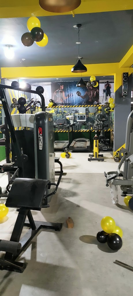 The Glorious Gold Gym