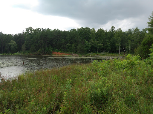 County Wide Park