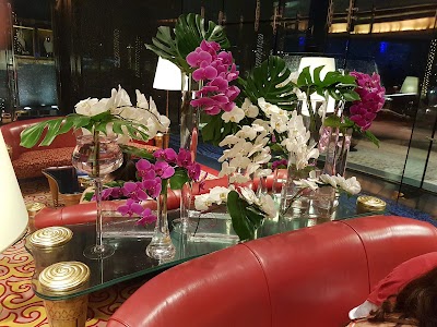 Photos of XL Dubai