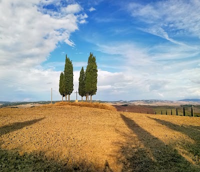 St.Pienza Rodellosso