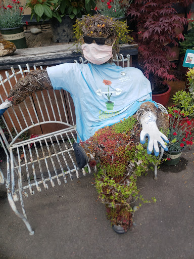 Windmill Gardens - Visual