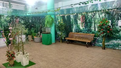 Photos of Планета бабочек