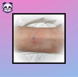 Photo n°2 de Liyah Body Piercing à Saint-Chély-d'Apcher (Salon de tatouage et piercing)