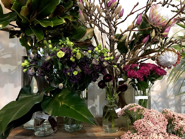 Solabee Flowers & Botanicals