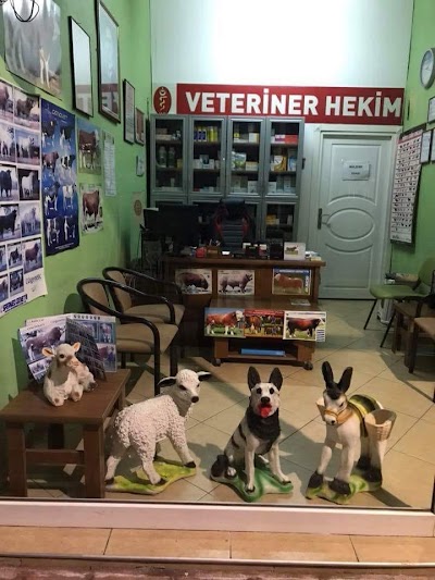 Tamer Veteriner Kliniği