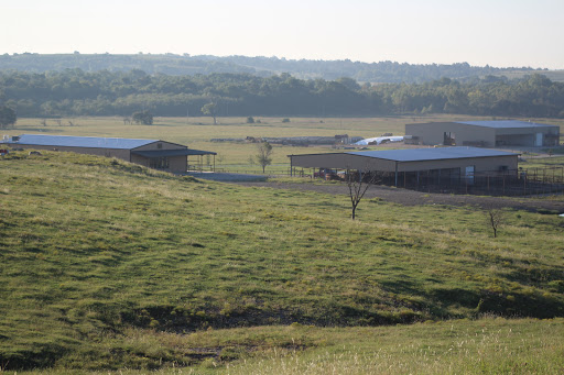 Flying Cow Genetics