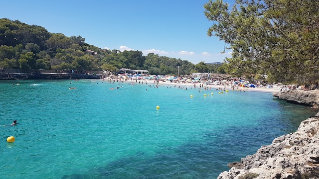 Place around image