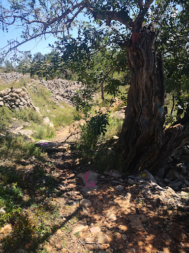Cueva de la Garganta - Thumbnail