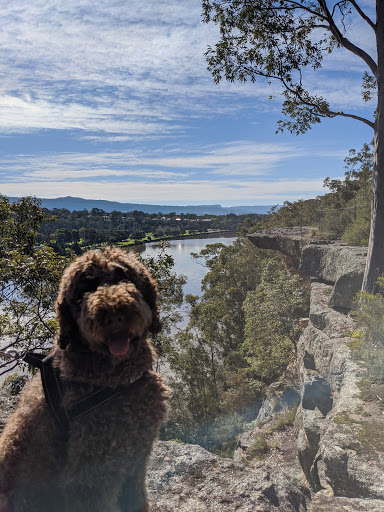 Nowra Dog Park Gallery - Australia