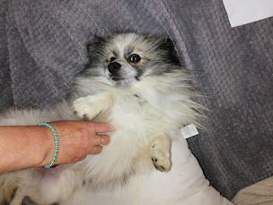 Photo n°4 de REIKI - NUMEROLOGIE NATHALIE THOMAS MIQUEU - PERTUIS à Pertuis (Thérapeute Reiki)