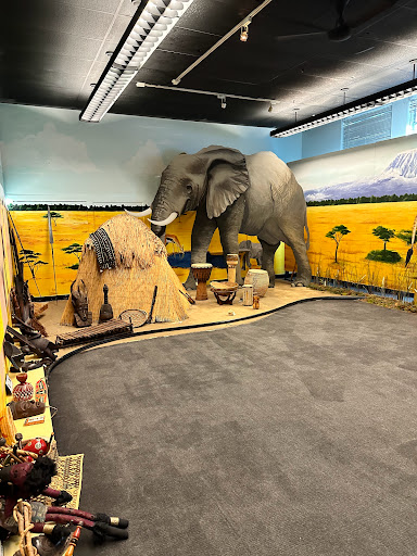 The Teaching Museum South - Thumbnail