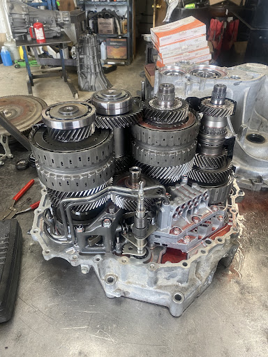 Laubes Transmission - Visual