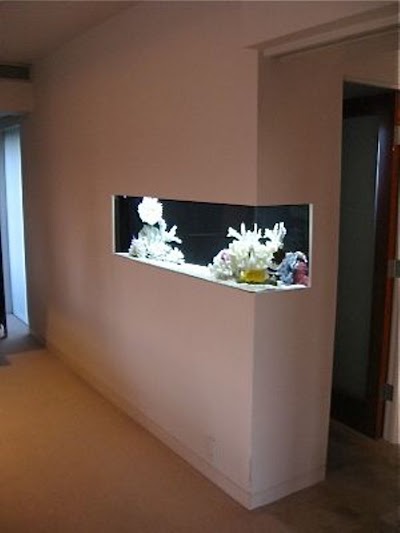 Photos of Coral Farm