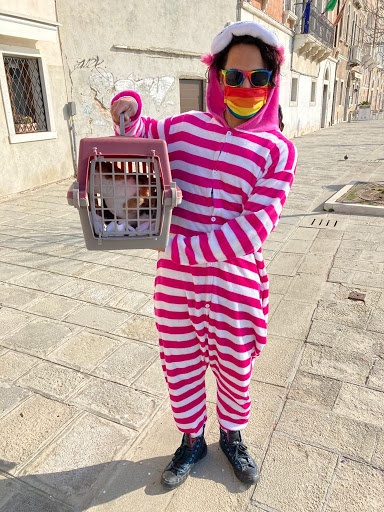Ambulatorio Veterinario Veneziano di Fabris Caterina e Ravera Davide - Thumbnail