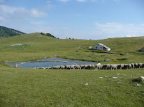 ADEM Drôme à Die