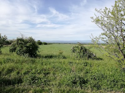 Photos of Novopokrovsky Church