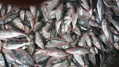 Photos of Patharghata BFDC Fish Market