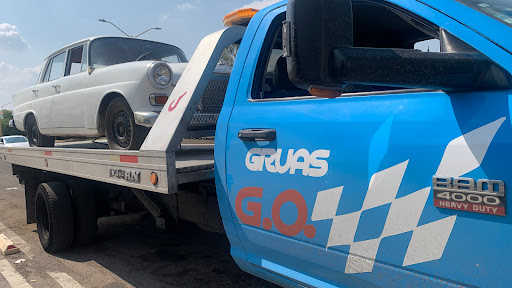 GRUAS GO - Visual
