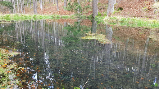 Walchstal-Teich - Visual