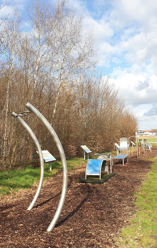 Fitness Parcour Hambrücken Calisthenics