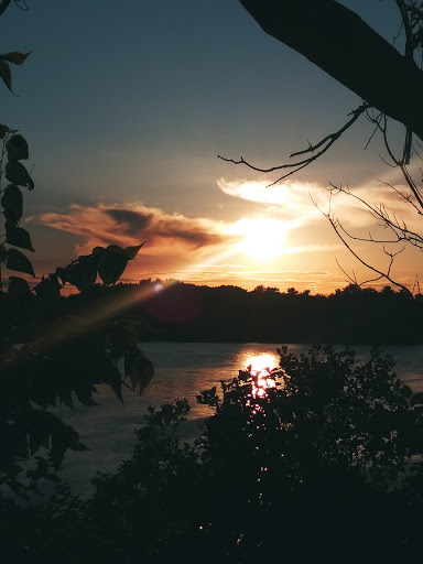 Schofield Park - Visual