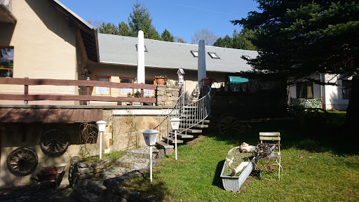 Wiesengrund - Visual