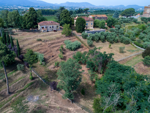 Kiddywinks , International Childcare & Forest School on the Lucca Hills - Thumbnail