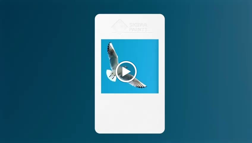 دهانات سيجما SIGMA PAINTS - صورة 3