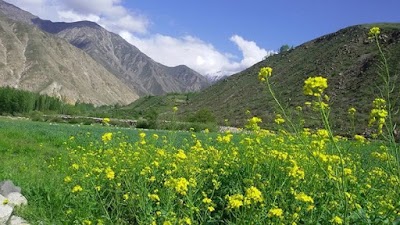 Photos of مسجد قريه حطي