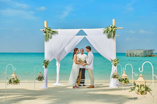Ivy League Travel LLC - Thumbnail