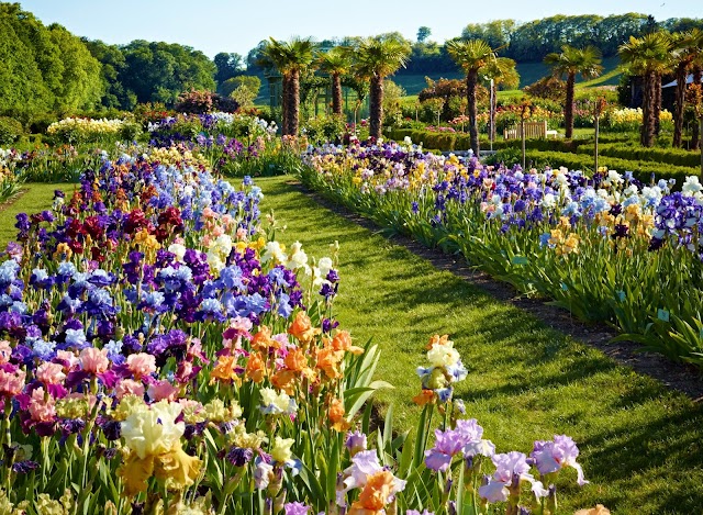 Les Jardins du Château de Vullierens - Jardins des Iris