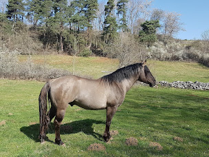 Photo n°38 de Domaine de Viaye à Saint-Paulien (Agence de voyages)