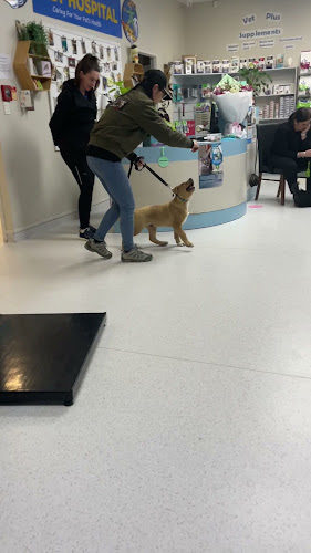Reviews of Orewa Vet Hospital in Auckland - Veterinarian