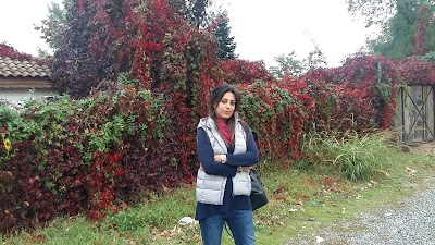 Photos of Green Garden Yalova
