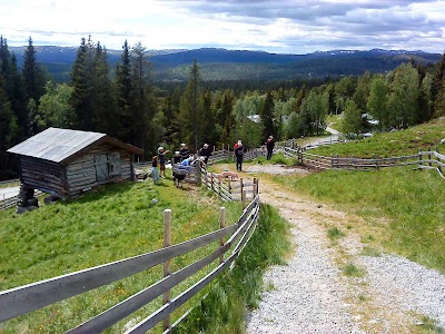 Photos of H&aring;vardsrud Seterliv