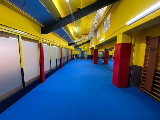RONIN Judo Club