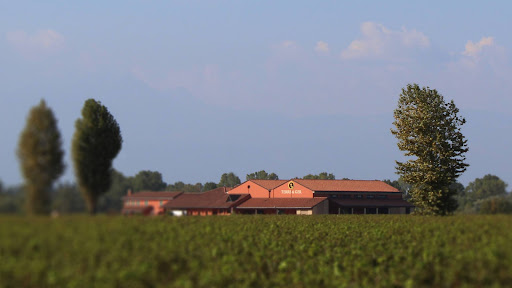 Terre di Ger
