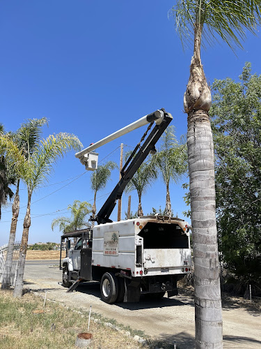Alfonsos Tree Service