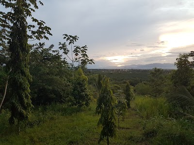 Photos of Finca Los Olivos