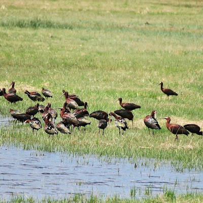 Malheur National Wildlife Refuge Visitor Center