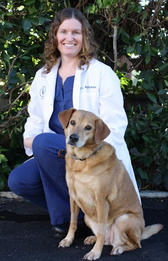 Care & Comfort Veterinary Hospital, A Thrive Pet Healthcare Partner - Thumbnail