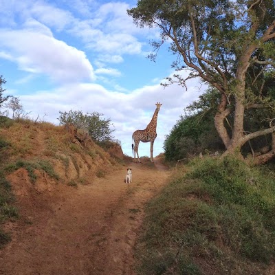 Photos of Ufumene Game Ranch