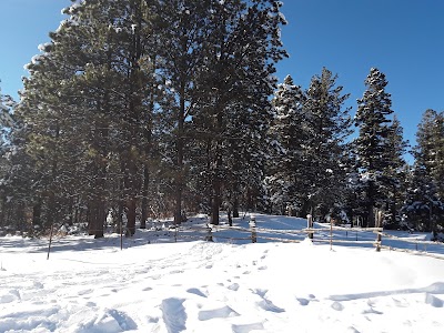 Official Scenic Historic Marker, Palo Flechado Pass