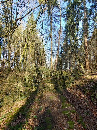 Parkplatz Weingartener Berg - Thumbnail