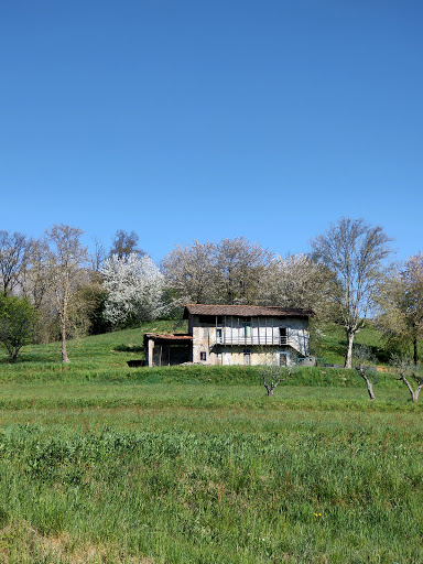 Parco Oasi - Thumbnail
