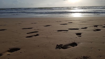 Photos of Barberyn Sands Ayurveda Resort