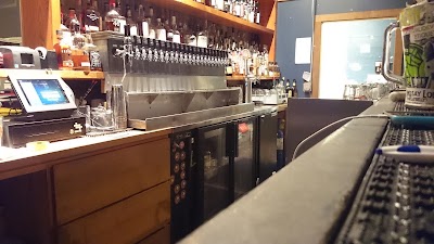 Photos of The Green Frog